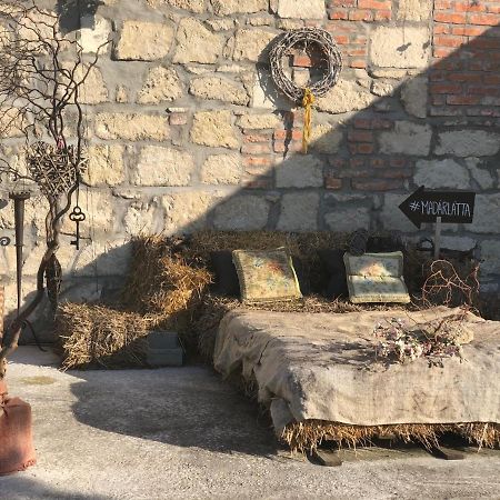 Madárlátta Vendégház Fertőrákos Extérieur photo